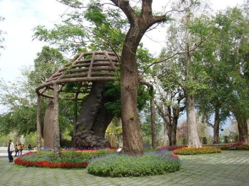 中台禪寺-古木園