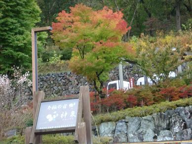 冬櫻之宿溫泉旅館-1.JPG