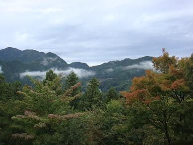 冬櫻之宿溫泉旅館-9.JPG