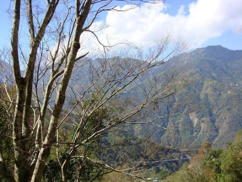 東埔山景