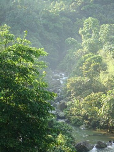 愛上醉夢溪